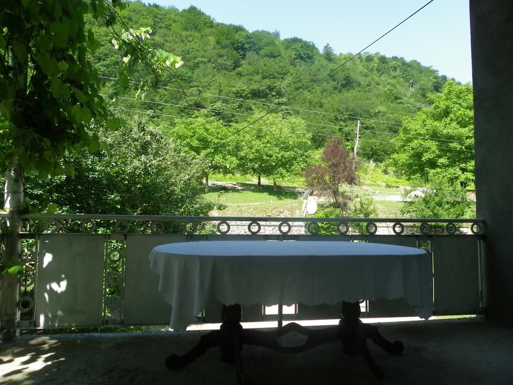 Tamuna Guest House Martvili Buitenkant foto